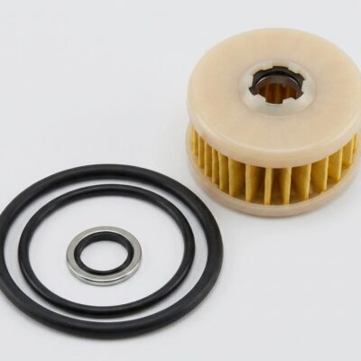 FILTER ELECTROVANNE BRC (VALTEK)