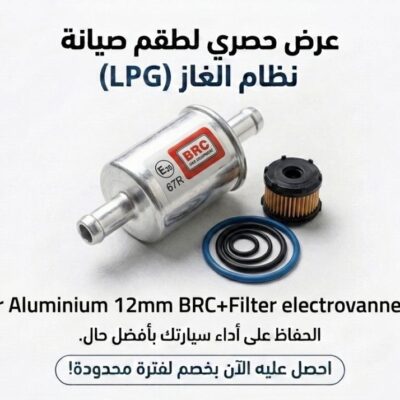 PACK: FILTER ALUMINIUM 12mm BRC+FILTER ELECTROVANNE BRC