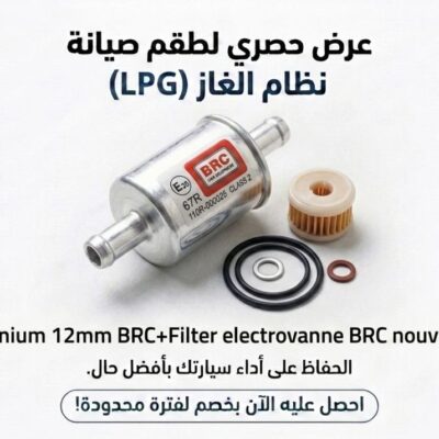 PACK:FILTER ALUMINIUM BRC 12mm+FILTER ELECTROVANNE BRC NOUVEAU(VALTEK)